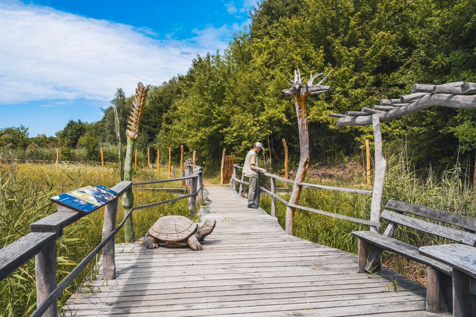 Sumpfschildkrötenanlage, Foto: Redek Kurzej, Lizenz: Redek Kurzej